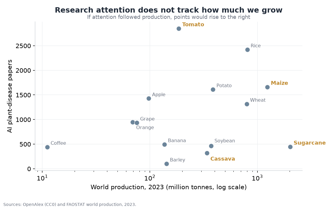 Scatter plot of world production against AI plant disease papers. Tomato sits high with modest production. Sugarcane sits low despite the largest production.