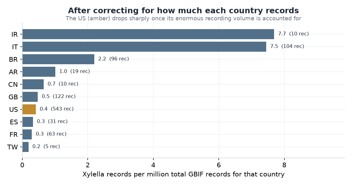 Bar chart of Xylella records per million total GBIF records, with the US highlighted in seventh place